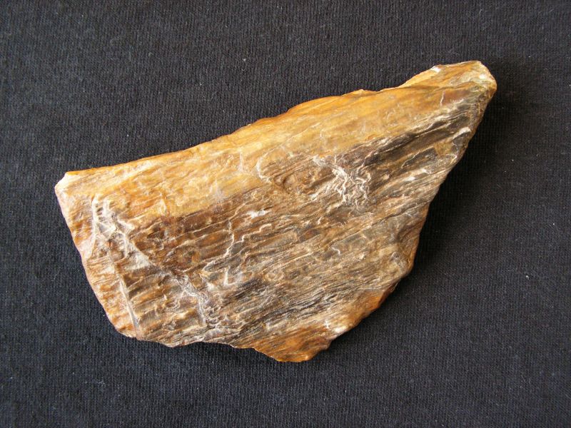 Křemen (var. Zkamenělé Dřevo)